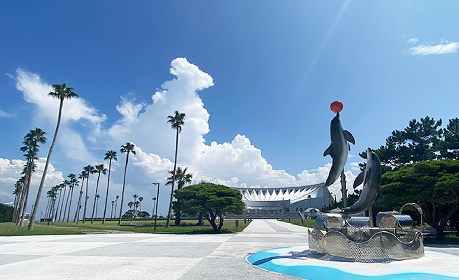 水族館で楽しむ